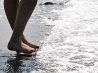 Danmarks Naturfredningsforening roser stop for sandsugning i Øresund