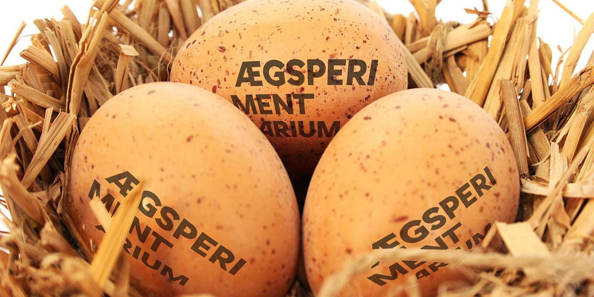 ÆGsperimenter i Påsken