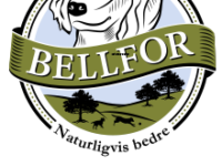 Bellfor Logo