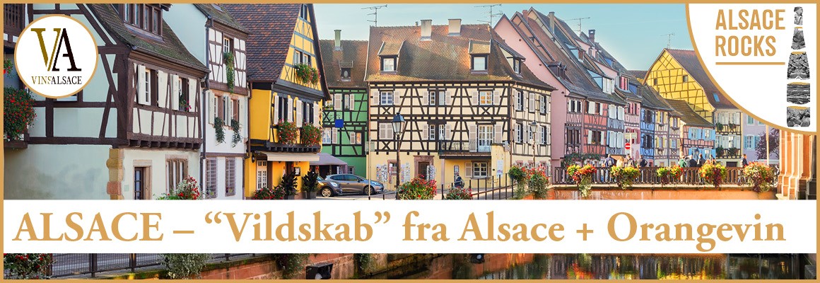 ”Vildskab” fra Alsace!