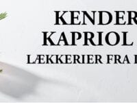 Kender du Kapriol Gin?