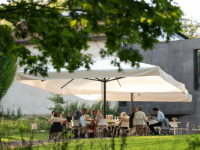 Tema aftener på Ordrupgaard Café ved Chaya