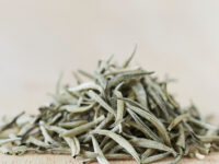 Hvid te – En af de fineste teer i verden