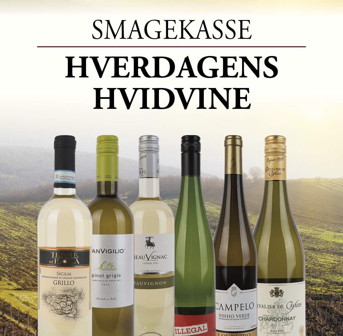 Hverdagens Hvidvine