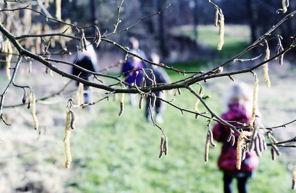 Søg tilskud til friluftsliv fra Lokalforeningspuljen